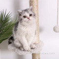griffoir chat meubles tour meubles arbre à chat moderne